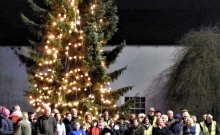 P1170475-Tree-with-crowd-2
